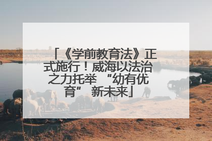 《学前教育法》正式施行！威海以法治之力托举 “幼有优育” 新未来