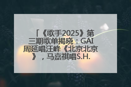《歌手2025》第三期歌单揭晓：GAI周延唱汪峰《北京北京》，马嘉祺唱S.H.E《你曾是少年》