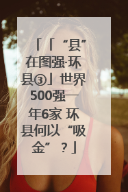 「“县”在图强·环县③」世界500强一年6家 环县何以“吸金”？