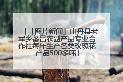 「图片新闻」山丹县老军乡蕃昌农副产品专业合作社每年生产各类玫瑰花产品500多吨