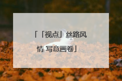 「视点」丝路风情 写意画卷