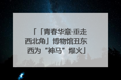 「青春华章·重走西北角」博物馆丑东西为“神马”爆火