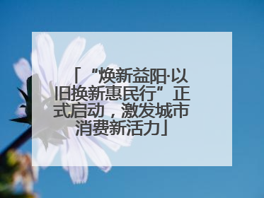 “焕新益阳·以旧换新惠民行”正式启动，激发城市消费新活力