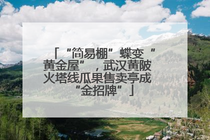“简易棚”蝶变“黄金屋”，武汉黄陂火塔线瓜果售卖亭成“金招牌”