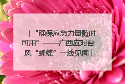 “确保应急力量随时可用”——广西应对台风“蝴蝶”一线见闻