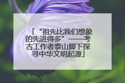 “祖先比我们想象的先进得多”——考古工作者泰山脚下探寻中华文明起源