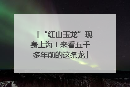 “红山玉龙”现身上海！来看五千多年前的这条龙