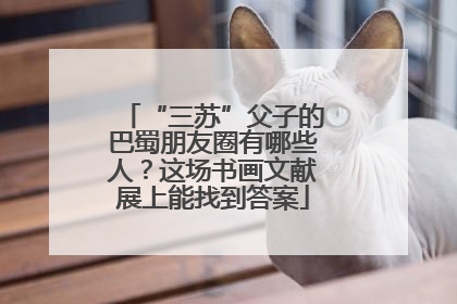 “三苏”父子的巴蜀朋友圈有哪些人？这场书画文献展上能找到答案