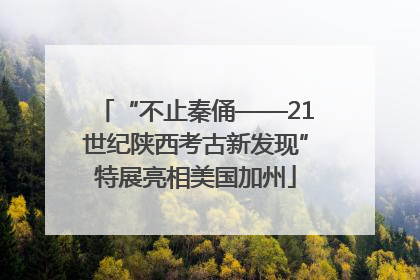 “不止秦俑——21世纪陕西考古新发现”特展亮相美国加州