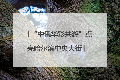 “中俄华彩共游”点亮哈尔滨中央大街