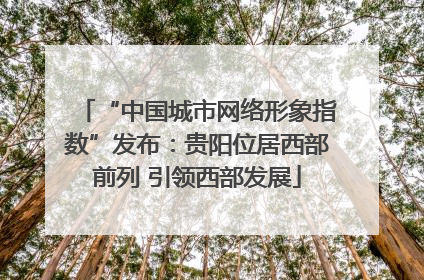 “中国城市网络形象指数”发布：贵阳位居西部前列 引领西部发展