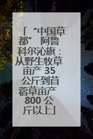 “中国草都” 阿鲁科尔沁旗：从野生牧草亩产 35 公斤到苜蓿草亩产 800 公斤以上
