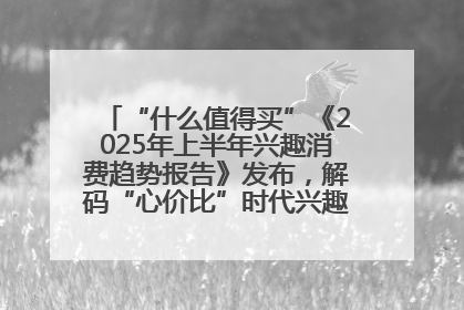 “什么值得买”《2025年上半年兴趣消费趋势报告》发布，解码“心价比”时代兴趣消费新范式