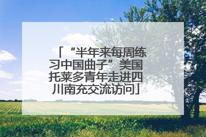 “半年来每周练习中国曲子”美国托莱多青年走进四川南充交流访问