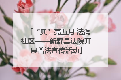 “典”亮五月 法润社区——新野县法院开展普法宣传活动