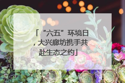 “六五”环境日，大兴廊坊携手共赴生态之约