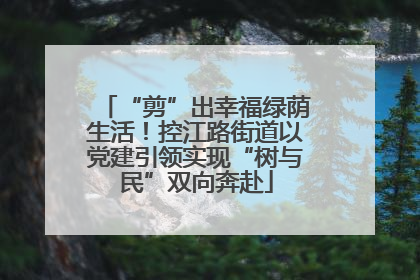 “剪”出幸福绿荫生活！控江路街道以党建引领实现“树与民”双向奔赴