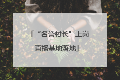 “名誉村长”上岗 直播基地落地