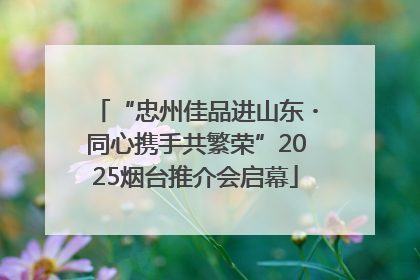 “忠州佳品进山东・同心携手共繁荣”2025烟台推介会启幕