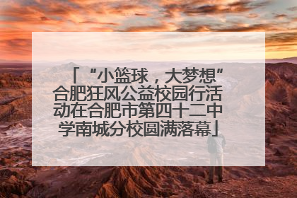 “小篮球，大梦想”合肥狂风公益校园行活动在合肥市第四十二中学南城分校圆满落幕