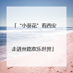 “小葵花”看西安走进丝路欢乐世界