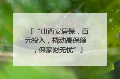 “山西安居保，百元投入，撬动高保额，保家财无忧”