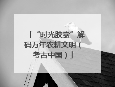 “时光胶囊”解码万年农耕文明（考古中国）