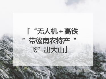 “无人机＋高铁”带赣南农特产“飞”出大山