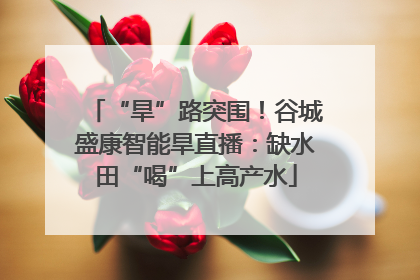 “旱”路突围！谷城盛康智能旱直播：缺水田“喝”上高产水