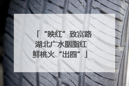 “映红”致富路 湖北广水胭脂红鲜桃火“出圈”