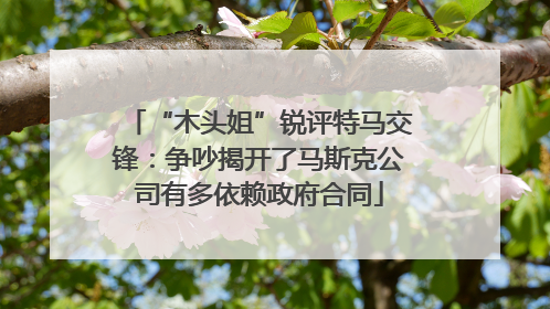 “木头姐”锐评特马交锋：争吵揭开了马斯克公司有多依赖政府合同