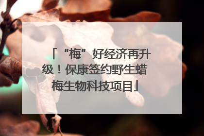 “梅”好经济再升级！保康签约野生蜡梅生物科技项目