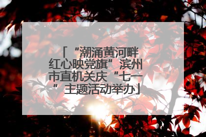“潮涌黄河畔 红心映党旗”滨州市直机关庆“七一”主题活动举办