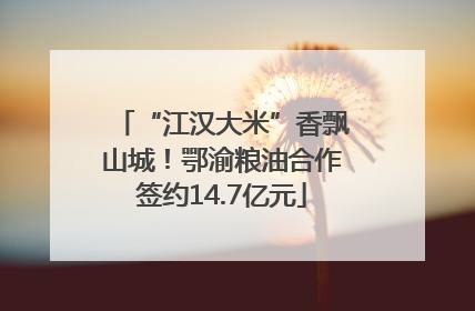 “江汉大米”香飘山城！鄂渝粮油合作签约14.7亿元