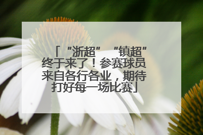 “浙超”“镇超”终于来了！参赛球员来自各行各业，期待打好每一场比赛
