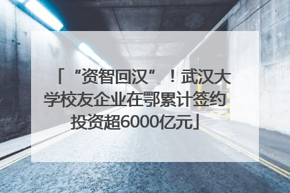 “资智回汉”！武汉大学校友企业在鄂累计签约投资超6000亿元