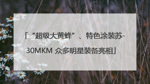“超级大黄蜂”、特色涂装苏-30MKM 众多明星装备亮相