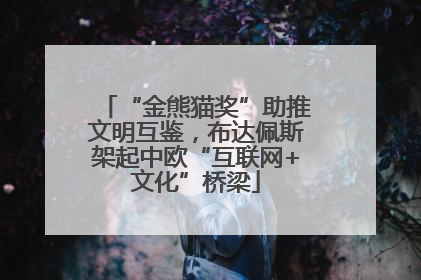 “金熊猫奖”助推文明互鉴，布达佩斯架起中欧“互联网+文化”桥梁