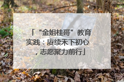 “金姐桂哥”教育实践：赓续禾下初心，志愿聚力前行