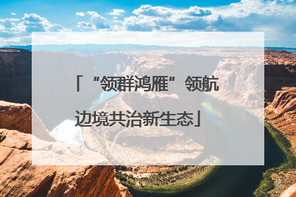 “领群鸿雁”领航边境共治新生态