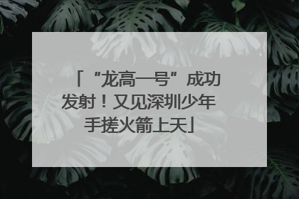 “龙高一号”成功发射！又见深圳少年手搓火箭上天