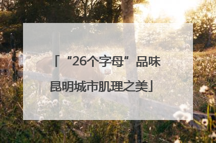 “26个字母”品味昆明城市肌理之美