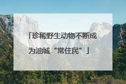 珍稀野生动物不断成为油城“常住民”