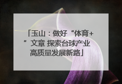 玉山：做好“体育+”文章 探索台球产业高质量发展新路