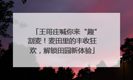 王哥庄喊你来“趣”割麦！麦田里的丰收狂欢，解锁田园新体验