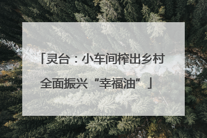 灵台：小车间榨出乡村全面振兴“幸福油”