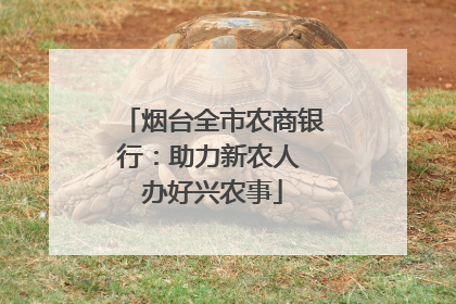 烟台全市农商银行：助力新农人 办好兴农事