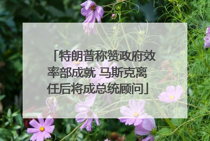 特朗普称赞政府效率部成就 马斯克离任后将成总统顾问