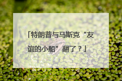特朗普与马斯克“友谊的小船”翻了？