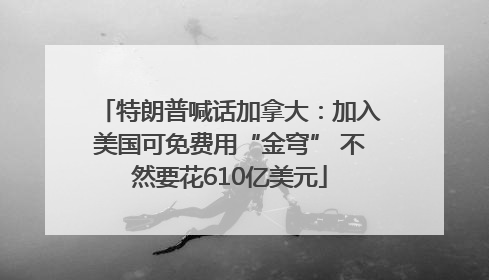 特朗普喊话加拿大：加入美国可免费用“金穹” 不然要花610亿美元